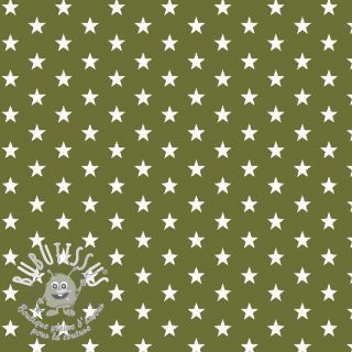 Tissu coton Petit stars green
